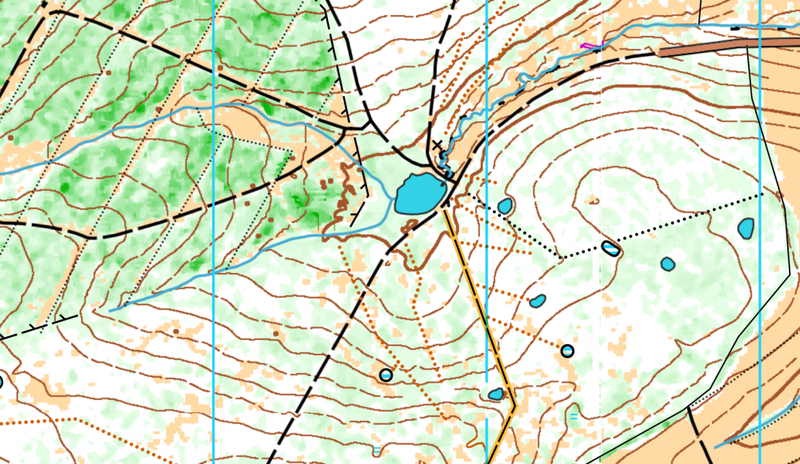 Cartographie pour course d'orientation