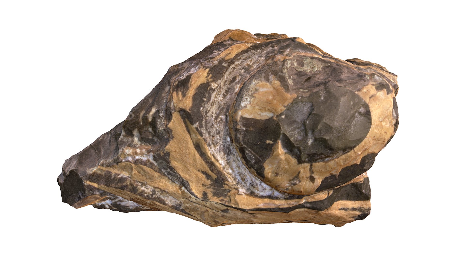 3D Reconstruction of Ichthyosaur bones (TV370) via Photogrammetry